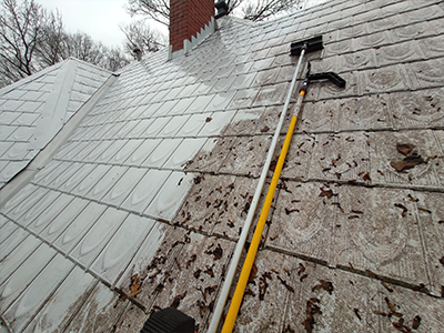 Roof Cleaning image